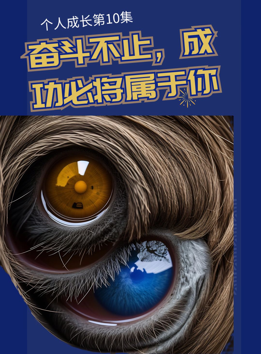 苦尽甘来，成功必将属于耐心者！