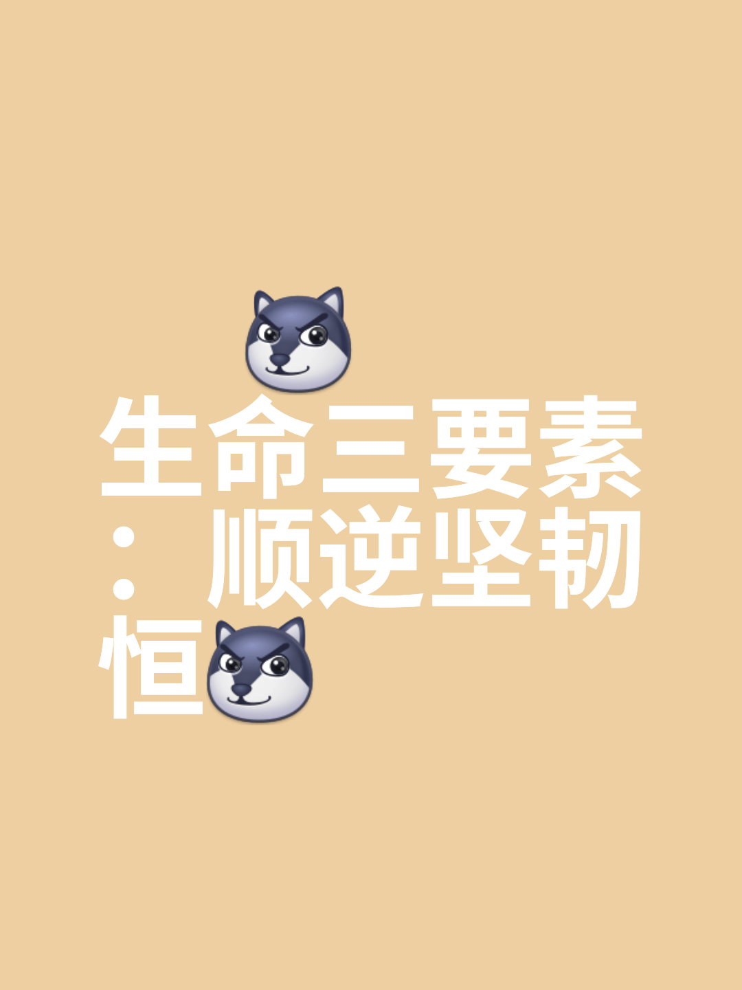 我们不怕强手，拼尽全力，一路顺风
