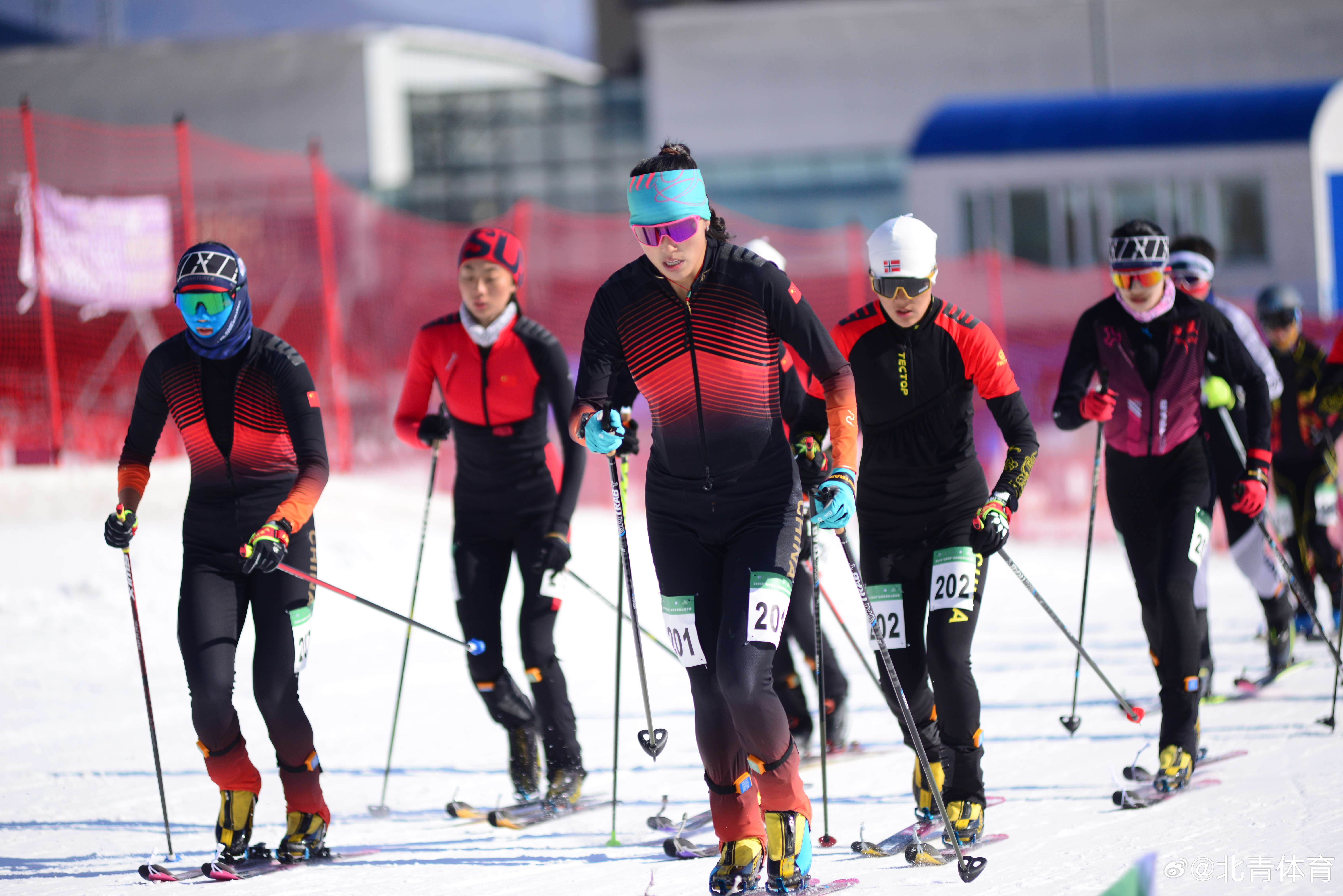 奥地利代表团在滑雪比赛中脱颖而出