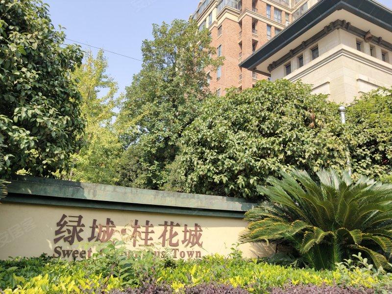 绿城接连失球，需弥补后防漏洞以稳固战绩